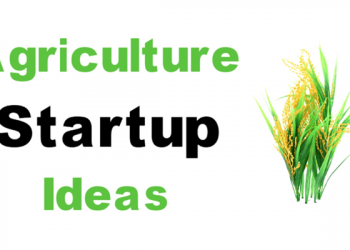 small farming business ideas